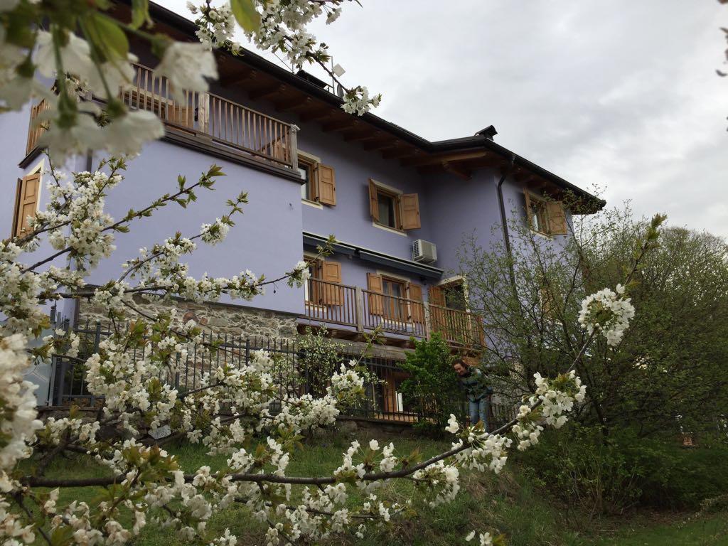 Castelcharme B&B Pergine Valsugana Ngoại thất bức ảnh